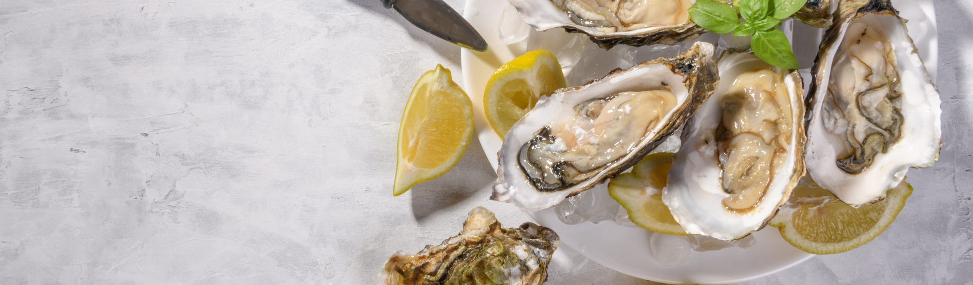 Nick's Seafood Restaurant Sydney