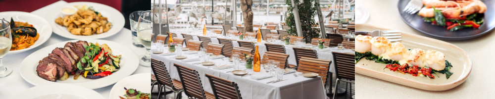 Adria Banner - Footer Adria Banner - Footer