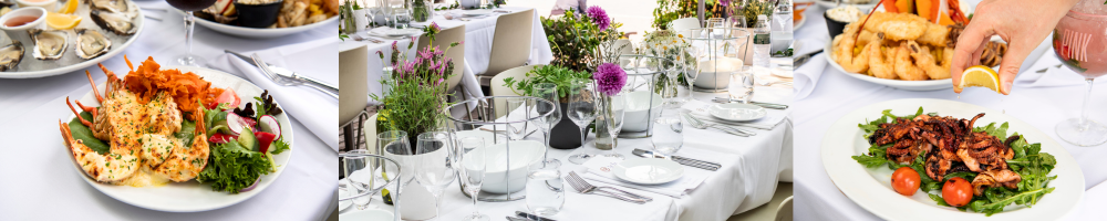 Nick's Banner - Footer Nick's Banner - Footer